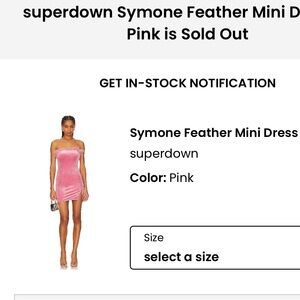 NWT Superdown Pink Mini Dress with Feather Trim XS
